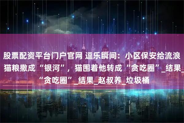 股票配资平台门户官网 逗乐瞬间：小区保安给流浪猫喂粮笑到晃，猫粮撒成 “银河”，猫围着他转成 “贪吃圈”_结果_赵叔养_垃圾桶