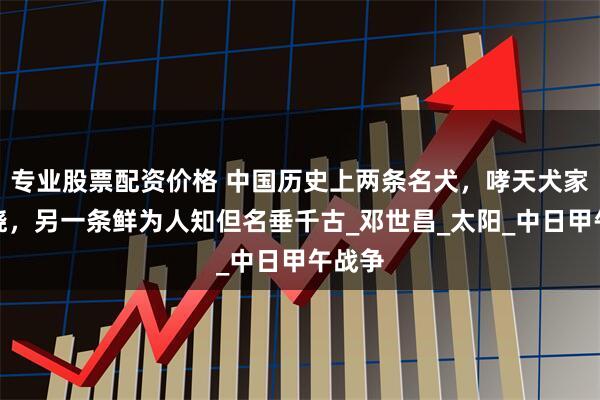 专业股票配资价格 中国历史上两条名犬，哮天犬家喻户晓，另一条鲜为人知但名垂千古_邓世昌_太阳_中日甲午战争