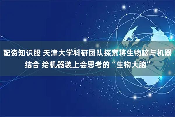 配资知识股 天津大学科研团队探索将生物脑与机器结合 给机器装上会思考的“生物大脑”